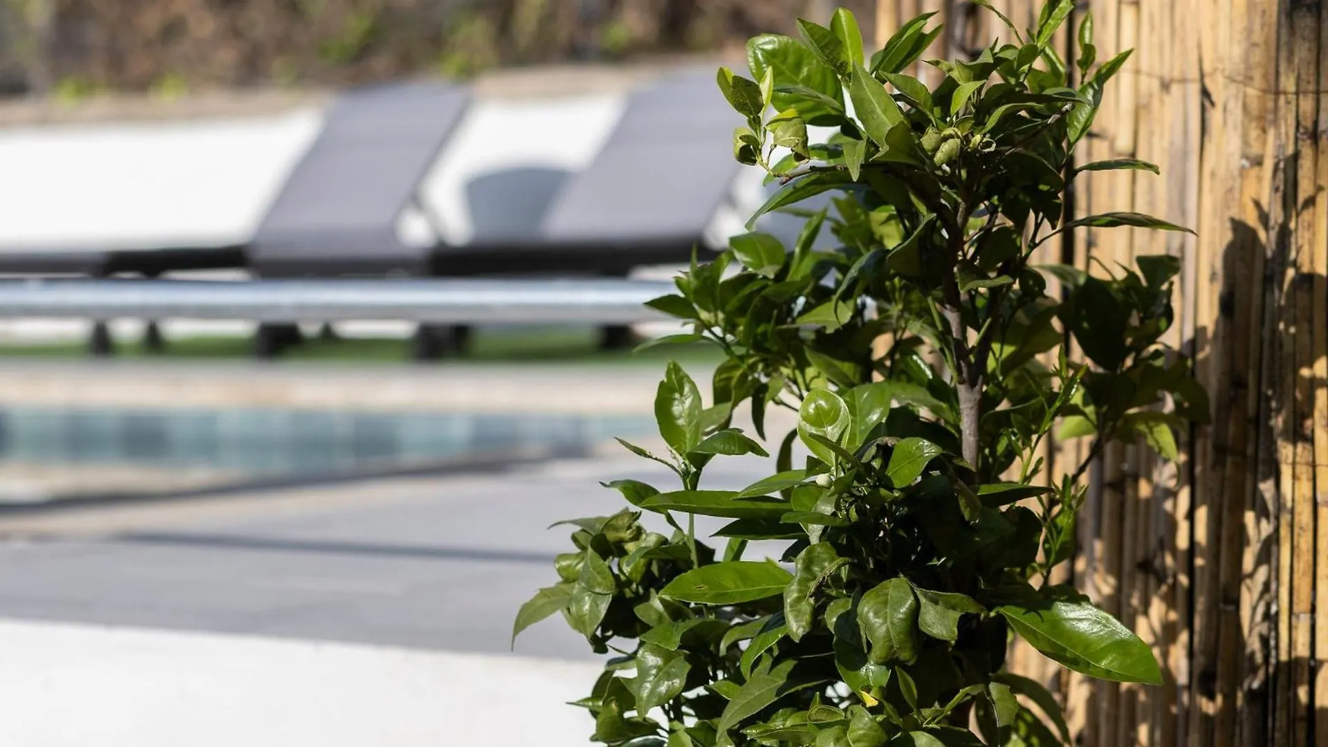 Holiday home Casita Las Bandejas Alhaurin el Grande